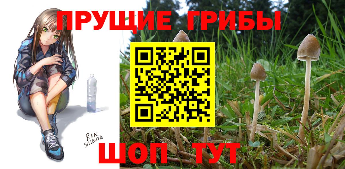 Галлюциногенные грибы мицелий Гусь-Хрустальный
